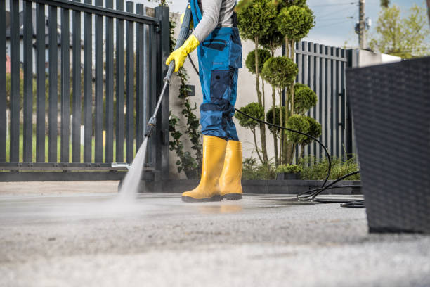 Best Commercial Pressure Washing  in Fabens, TX