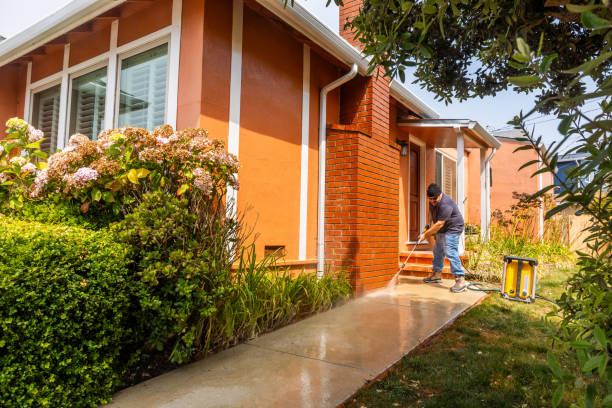 Best Deck Cleaning Services  in Fabens, TX