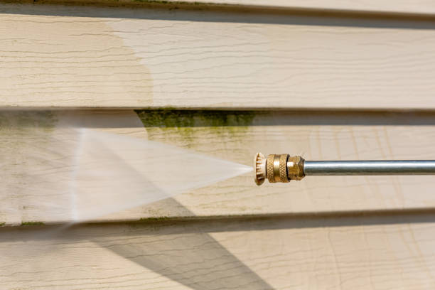 Best Deck Cleaning Services  in Fabens, TX