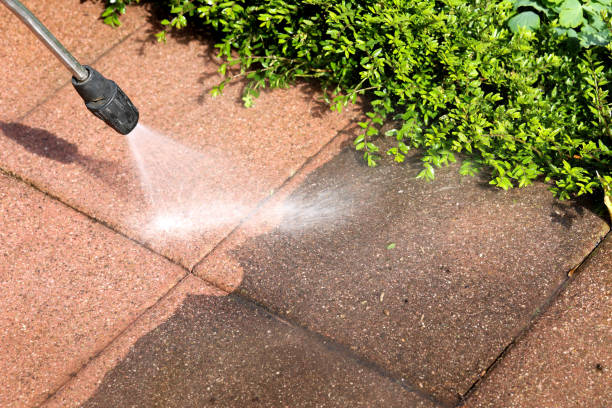 Best Residential Pressure Washing Services  in Fabens, TX